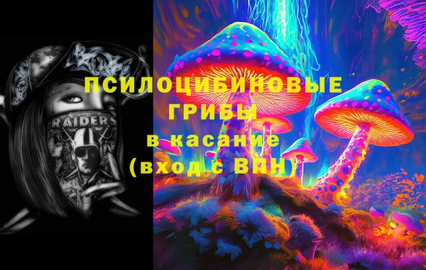 твердый Армянск