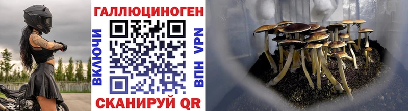 блэк спрут ссылка  Белёв  Псилоцибиновые грибы ЛСД 